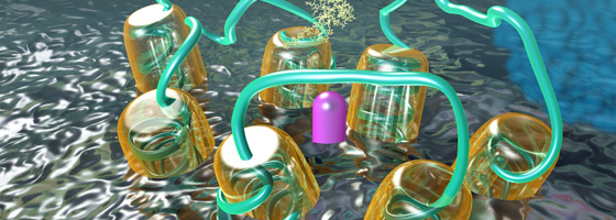 Medical Animation: Preventing the entry of Chemokines