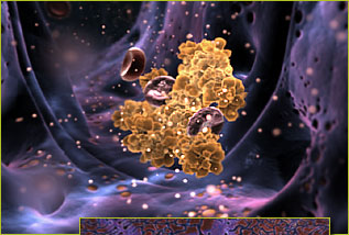Sample Medical Animation
